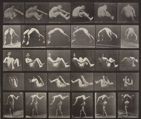 Jumping; Hand-Spring; Somersault; Springing over a Man's Back from Animal Locomotion